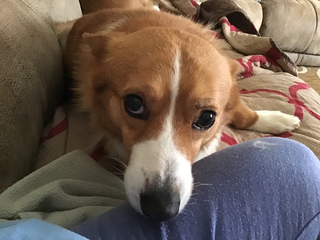 5E0A8313-A09E-4D6B-9DD5-070EC1949E6A