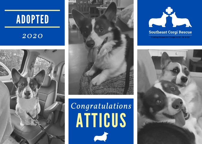 1CFE5F1C-7101-4235-BAAE-5AB574ABCF3A