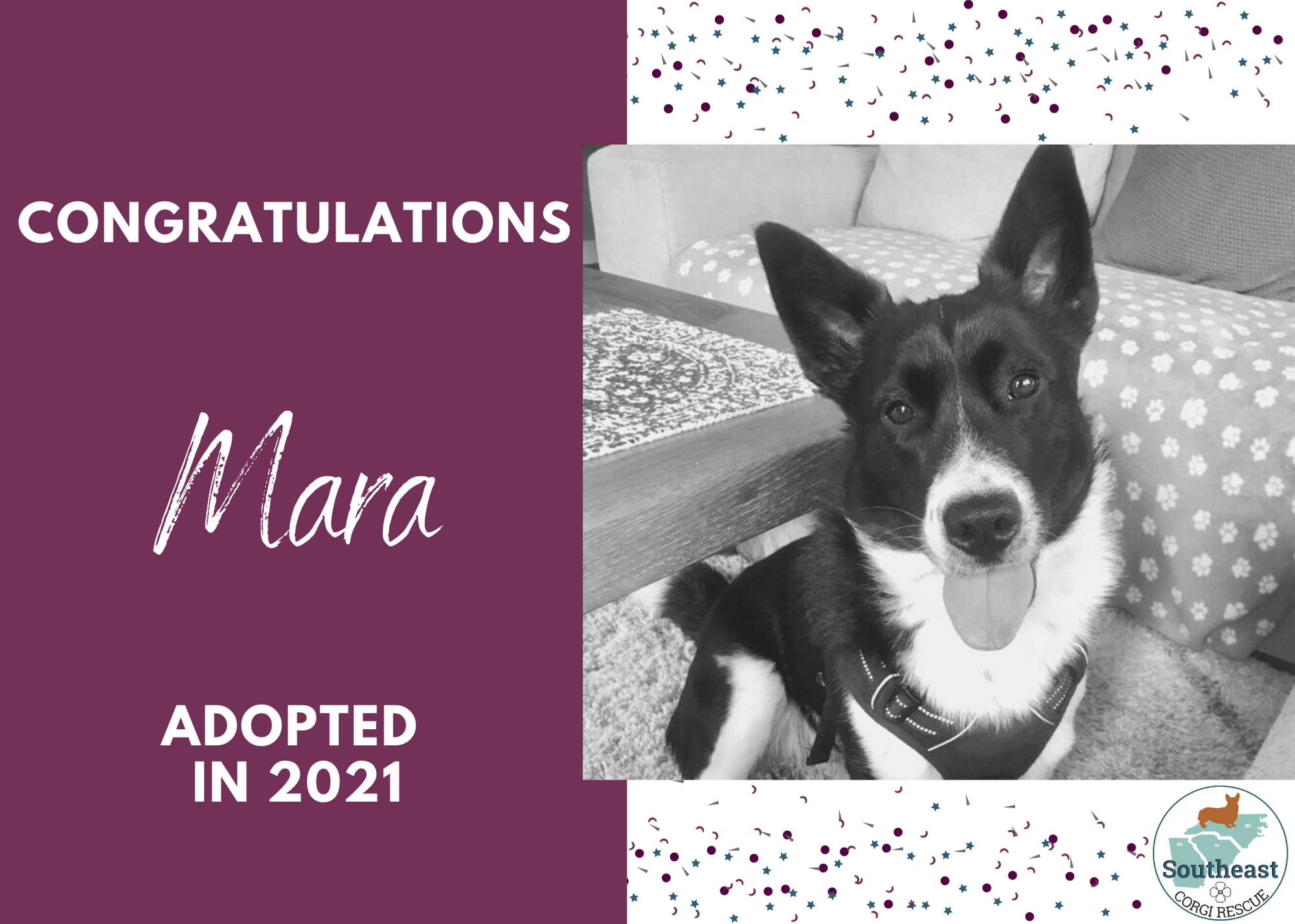 Mara Adoption Announcement