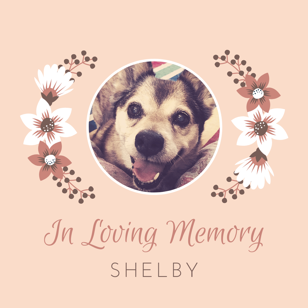 Shelby Memory