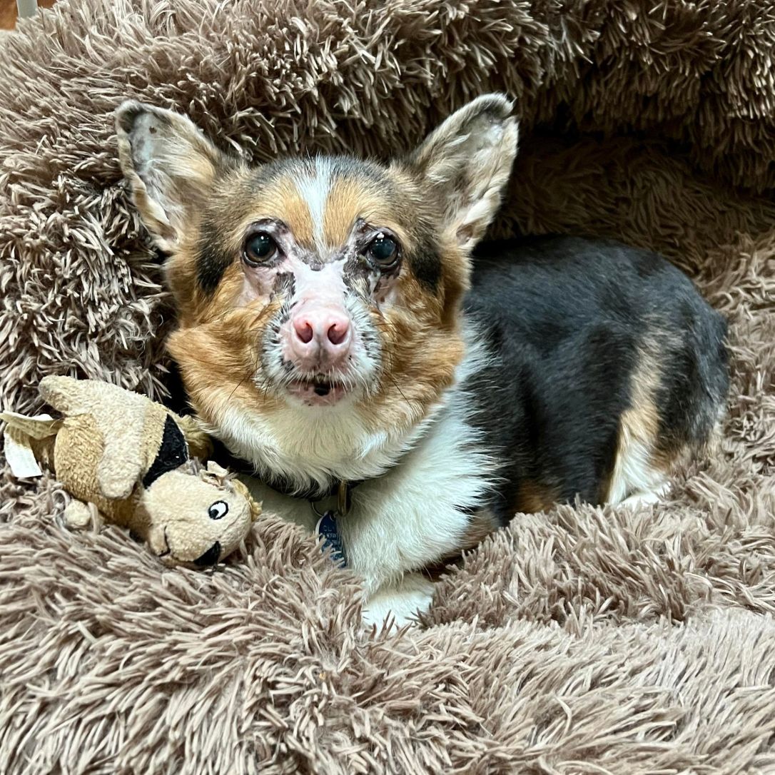 352710390_631405869019868_802723083854808806_n